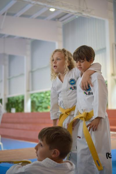 Exhibición Taekwondo